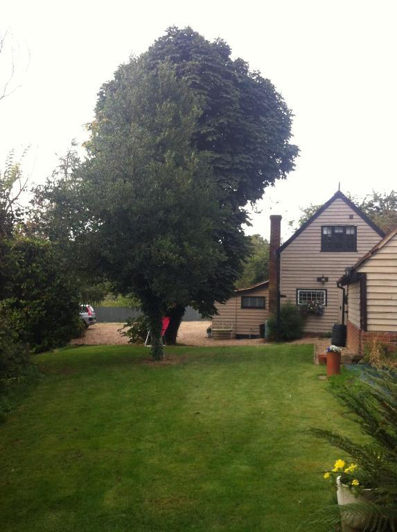Bonningtons Stansted Self Catering Hotel สแตนสเต็ด เมาท์ฟิทเช็ต ห้อง รูปภาพ